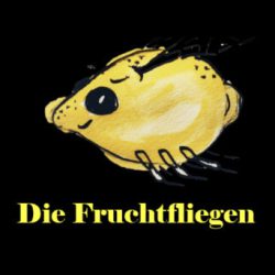 Die Fruchtfliegen im Altstadttheater Köpenick